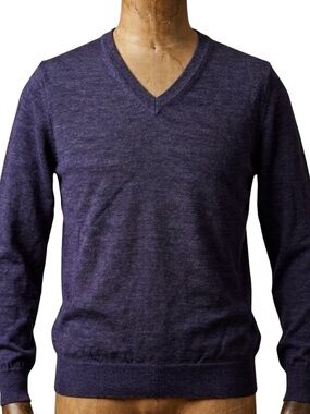 Frank & Oak 100% Wool Sweater V-neck Premium